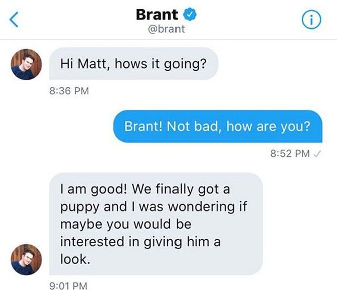 The ‘They’re good dogs, Brent’ Incident Has Finally Come Full Circle (11 pics)