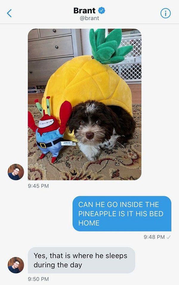 The ‘They’re good dogs, Brent’ Incident Has Finally Come Full Circle (11 pics)