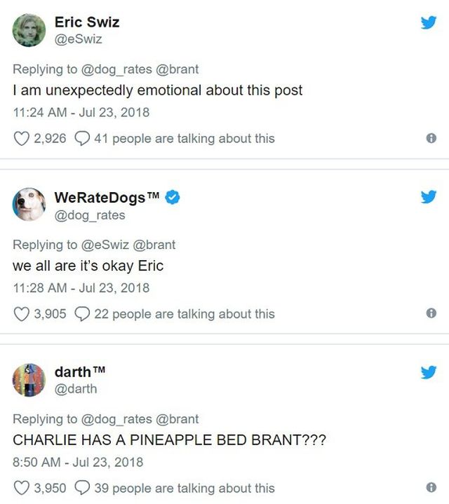 The ‘They’re good dogs, Brent’ Incident Has Finally Come Full Circle (11 pics)