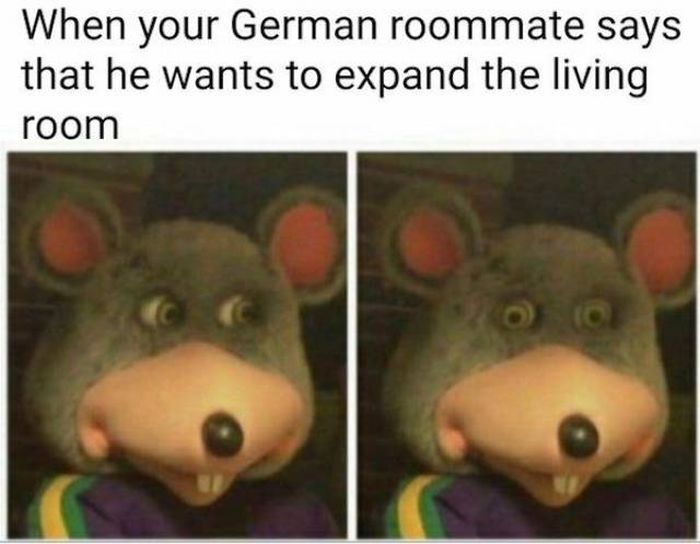 History Memes (23 pics)