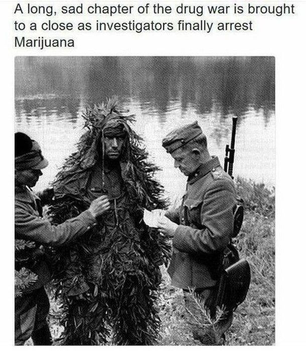 History Memes (23 pics)