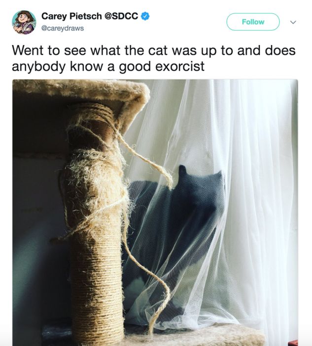 The Most Iconic Internet Cat Posts of All Time (20 pics)