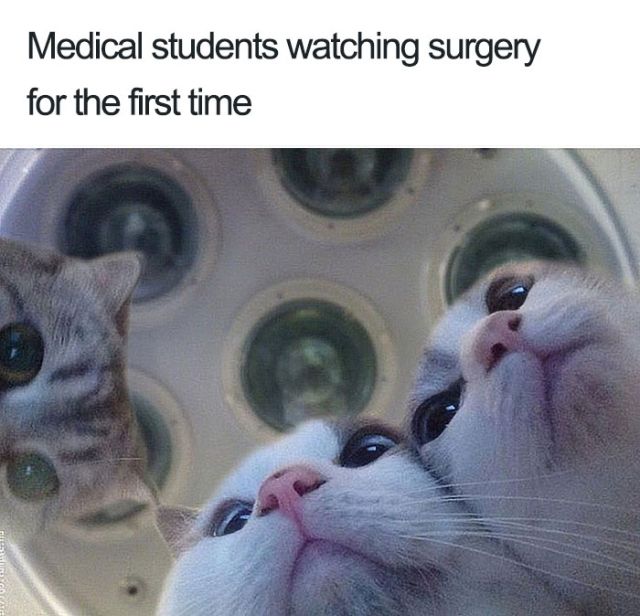 Doctor Memes (30 pics)