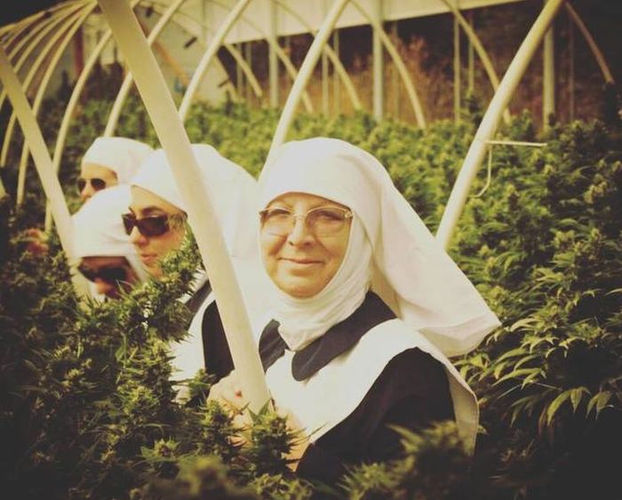 The Sisters Of The Valley Make All Their CBD Products By Moon Cycle (14 pics)
