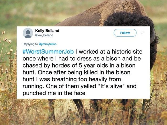 Bad Experiences From Summer Jobs (15 pics)