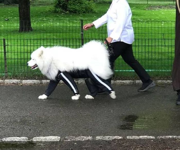 Crazy Fashion (36 pics)