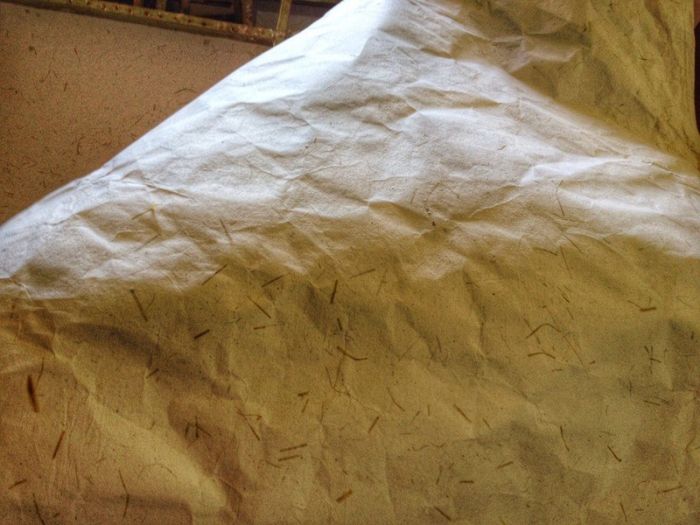 Paper From The Litter Of Wild Elephants (9 pics)