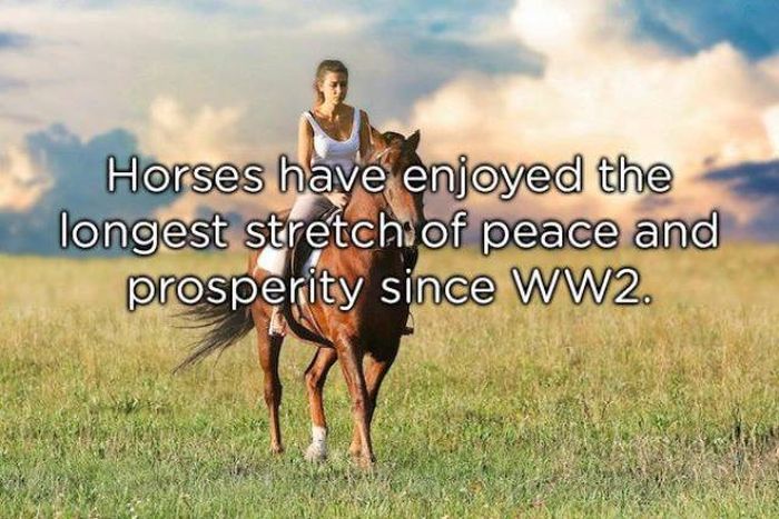 Shower Thoughts (39 pics)