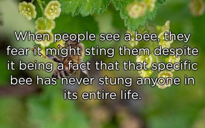 Shower Thoughts (39 pics)
