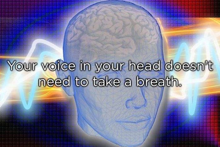 Shower Thoughts (39 pics)