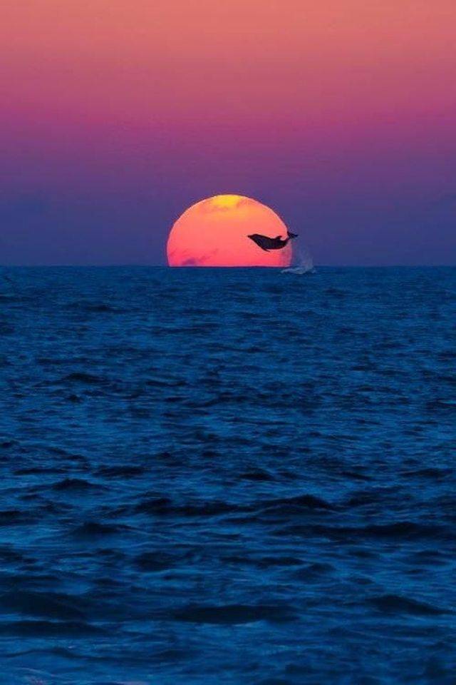 When A Picture Says More Than Just A Thousand Words (47 pics)