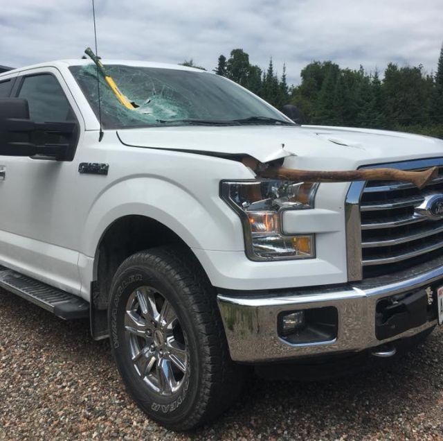 Why You Should Secure Your Loads (2 pics)