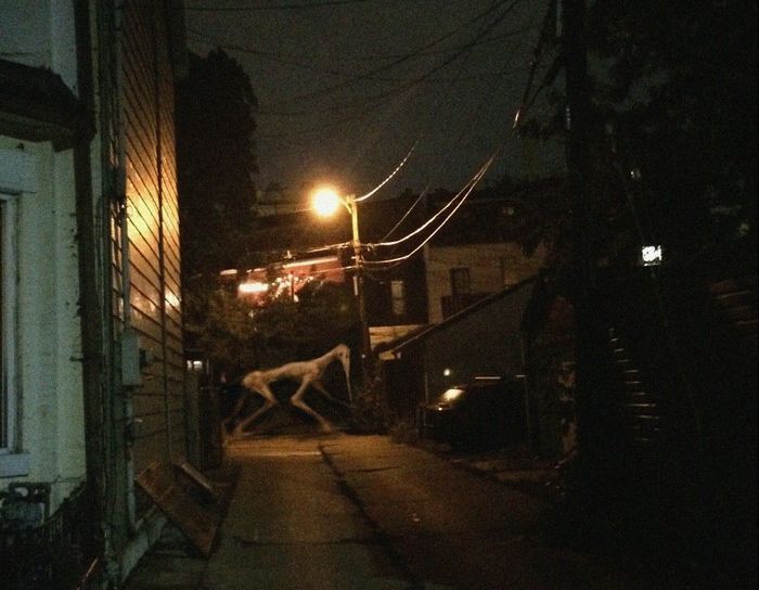 Acid Picdump (99 pics)