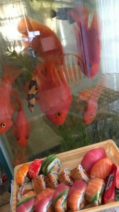 Acid Picdump (99 pics)