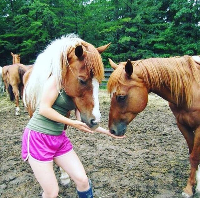 Acid Picdump (99 pics)