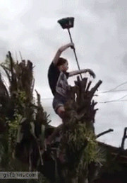 Humans vs. Electricity (14 gifs)