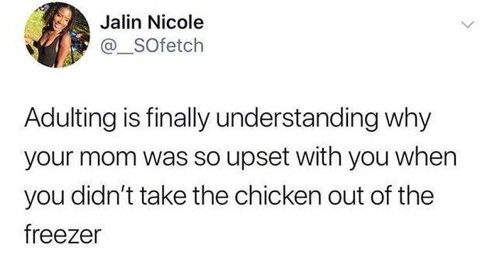 So True (42 pics)