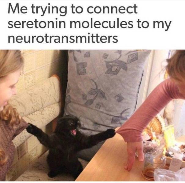 So True (42 pics)