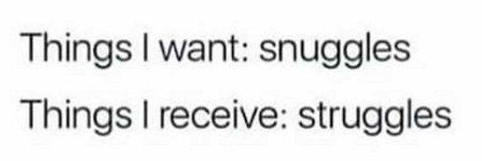 So True (42 pics)
