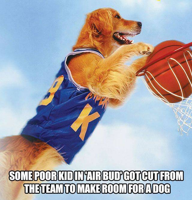 So True (42 pics)