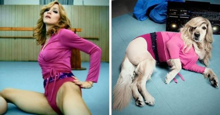Madonna By Dogs (22 pics)