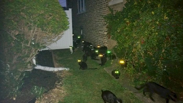 These Pictures Will Make You Think (17 pics)