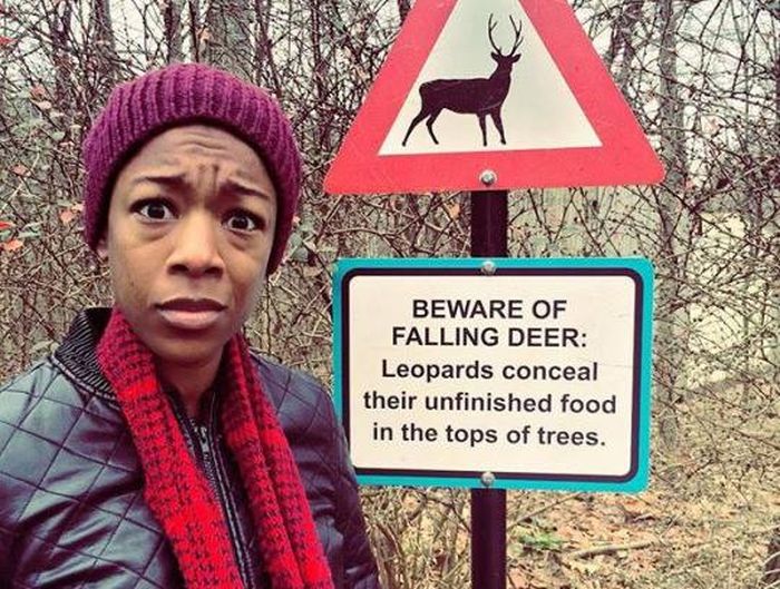 These Pictures Will Make You Think (17 pics)