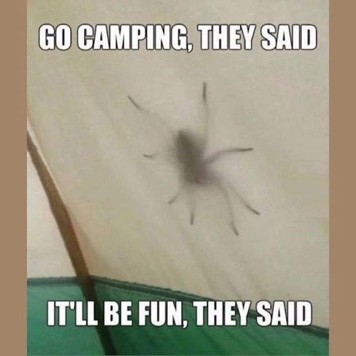 These Pictures Will Make You Think (17 pics)