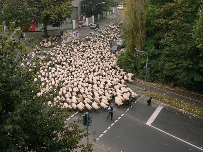 These Pictures Will Make You Think (17 pics)