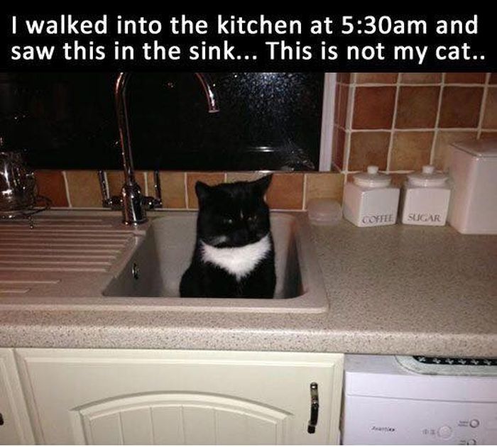These Pictures Will Make You Think (17 pics)