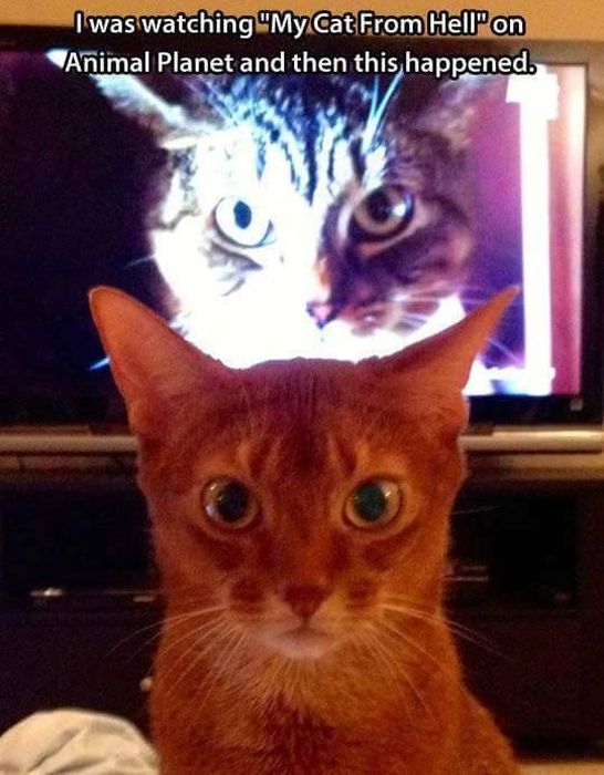 These Pictures Will Make You Think (17 pics)