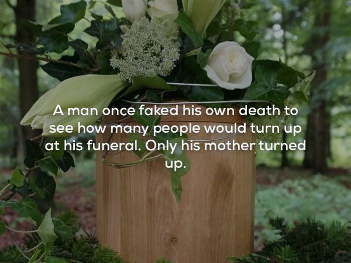 WTF Facts (22 pics)