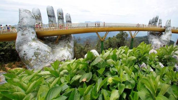Bridge On Two Giant Palms In Vietnam (15 pics)