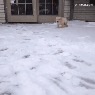 Acid Gifdump, August 01, 2018 (25 gifs)