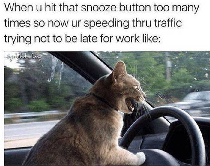 Memes About Being Late (19 pics)