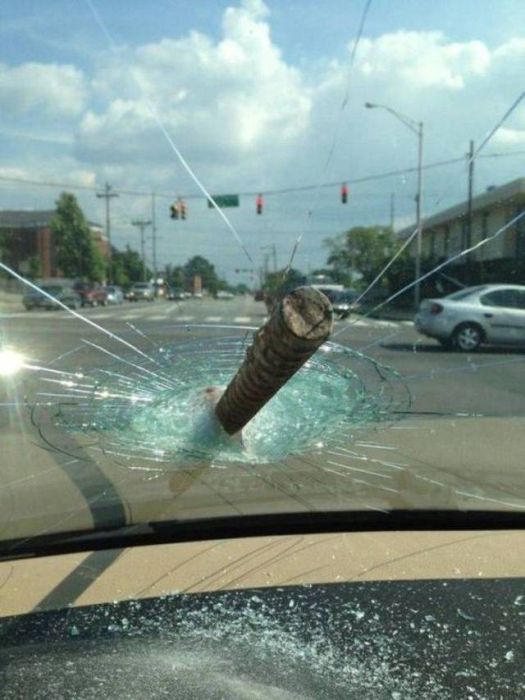 We All Have Bad Days Sometimes (41 pics)