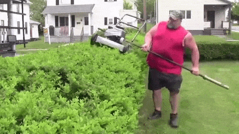 Acid Gifdump, August 02, 2018 (25 gifs)
