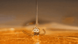 Acid Gifdump, August 02, 2018 (25 gifs)