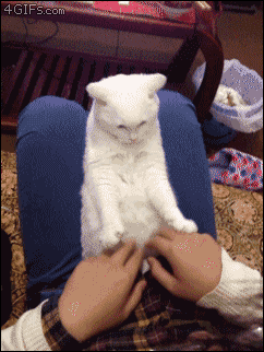 Acid Gifdump, August 02, 2018 (25 gifs)