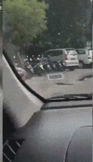 Acid Gifdump, August 02, 2018 (25 gifs)