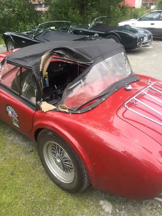 A Bear Attacked A Vintage Sports Car (3 pics)