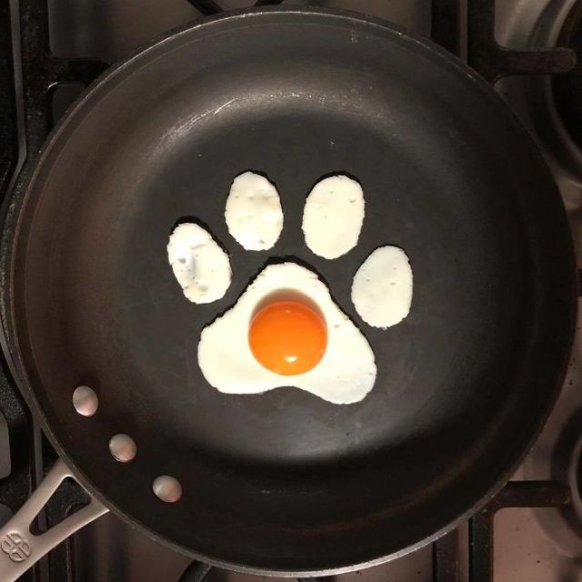 Artist Turns His Breakfast Eggs Into Works Of Art (25 pics)