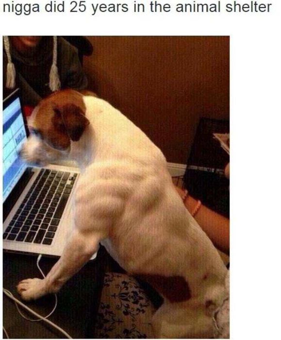 Funny Tweets (30 pics)