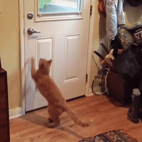 Acid Gifdump, August 03, 2018 (25 gifs)