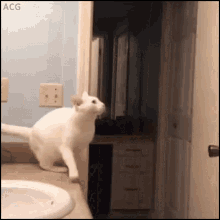 Acid Gifdump, August 03, 2018 (25 gifs)