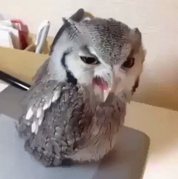 Acid Gifdump, August 03, 2018 (25 gifs)