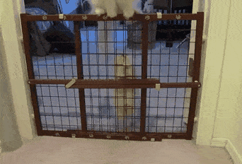 Acid Gifdump, August 03, 2018 (25 gifs)