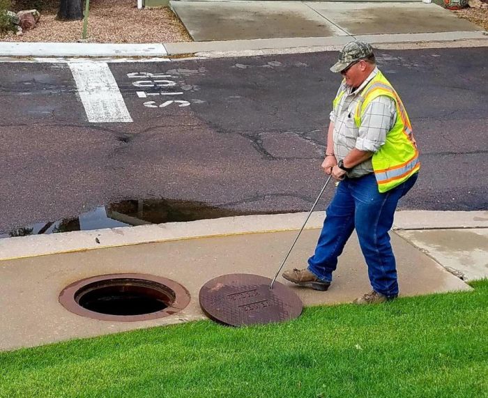 A Bear Inside A Sewer In Colorado Springs (9 pics)