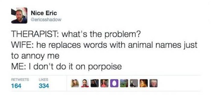 Husbands Can Be Funny (30 pics)