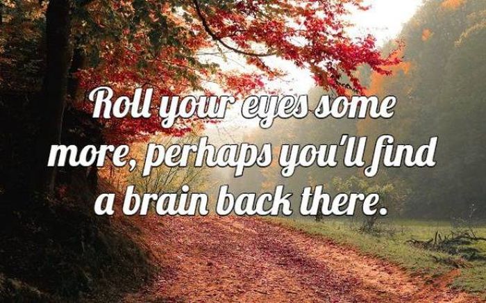 Majestic Views Make Up For These Awful Insults (17 pics)